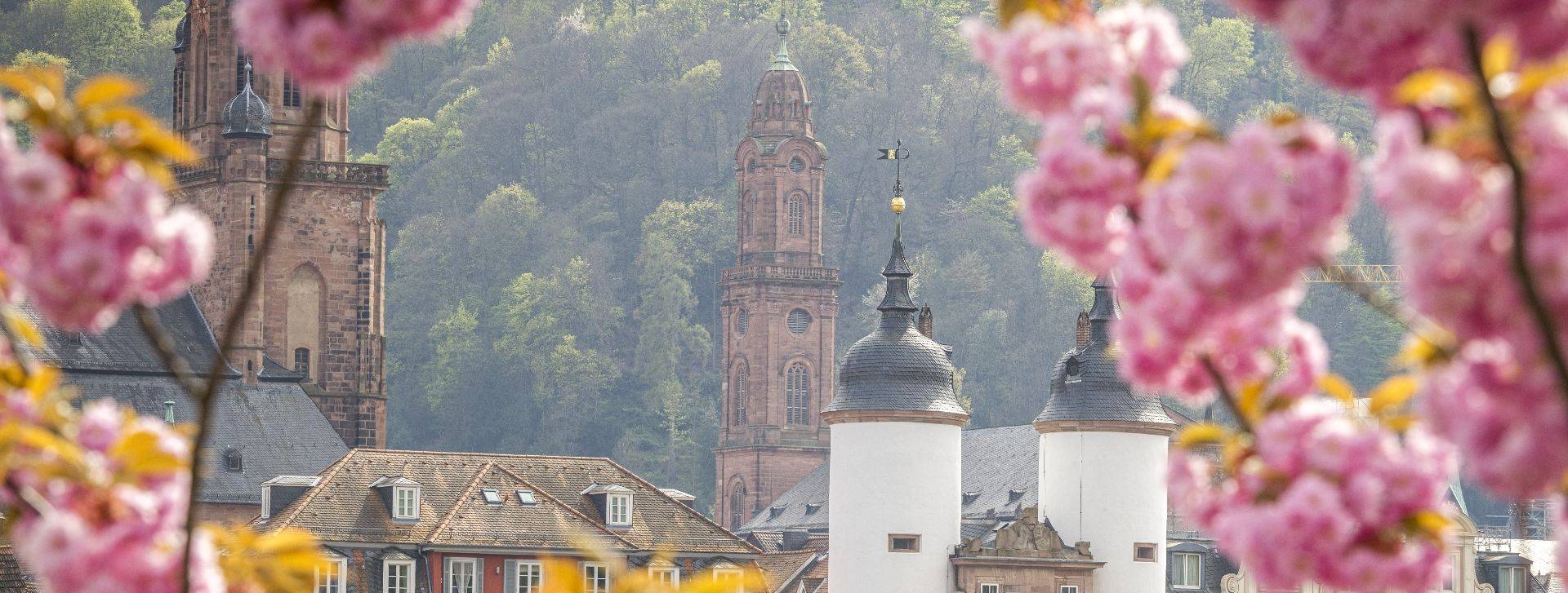Quelle: TOBIAS SCHWERDT - Heidelberg Marketing GmbH